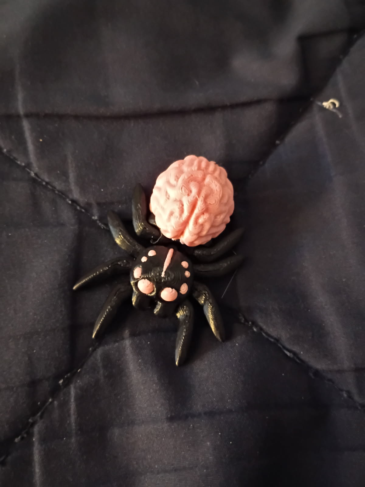 Brainy Spider Buddy