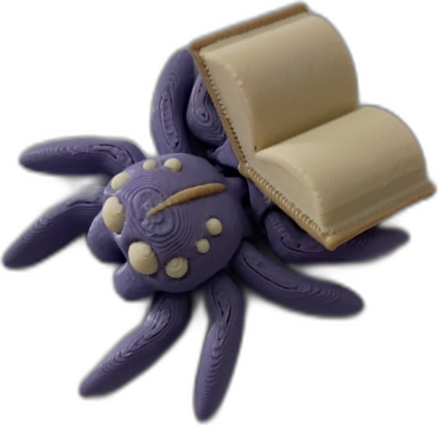 Spider and Book