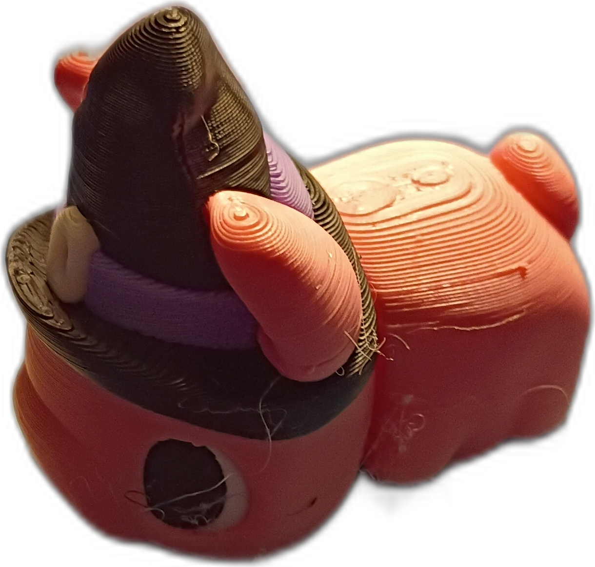Witch-Hat Pig